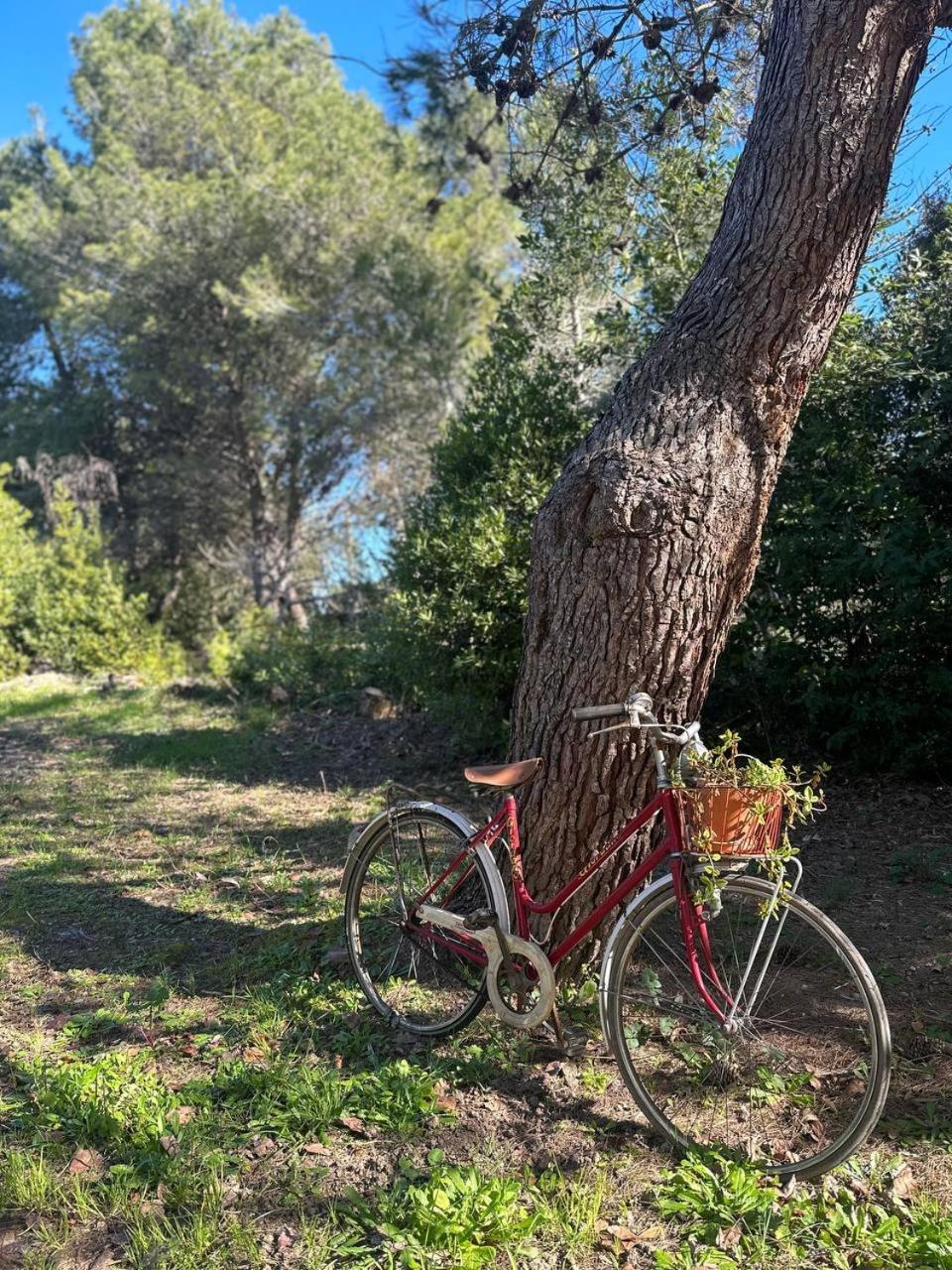 Villa Zoë Torre dell'Orso Esterno foto